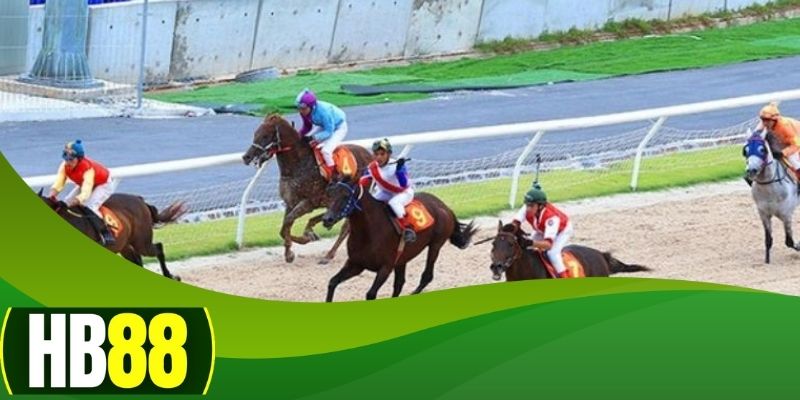 Kinh nghiệm và kỹ năng của người điều khiển ngựa (jockey)