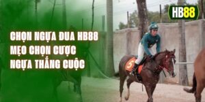 Chọn Ngựa Đua HB88 – Mẹo Chọn Cược Ngựa Thắng Cuộc