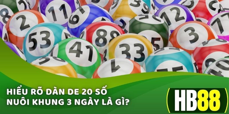 Hiểu rõ dàn de 20 số nuôi khung 3 ngày là gì?