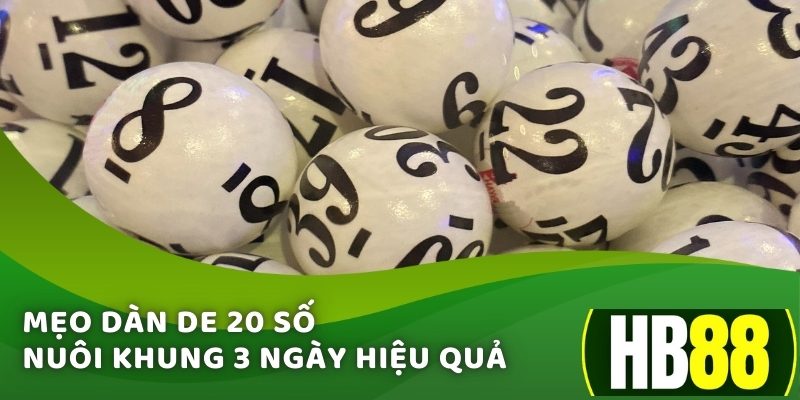 Mẹo dàn de 20 số nuôi khung 3 ngày hiệu quả 