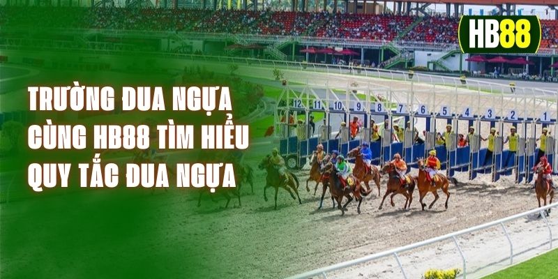 Trường Đua Ngựa – Cùng HB88 Tìm Hiểu Quy Tắc Đua Ngựa